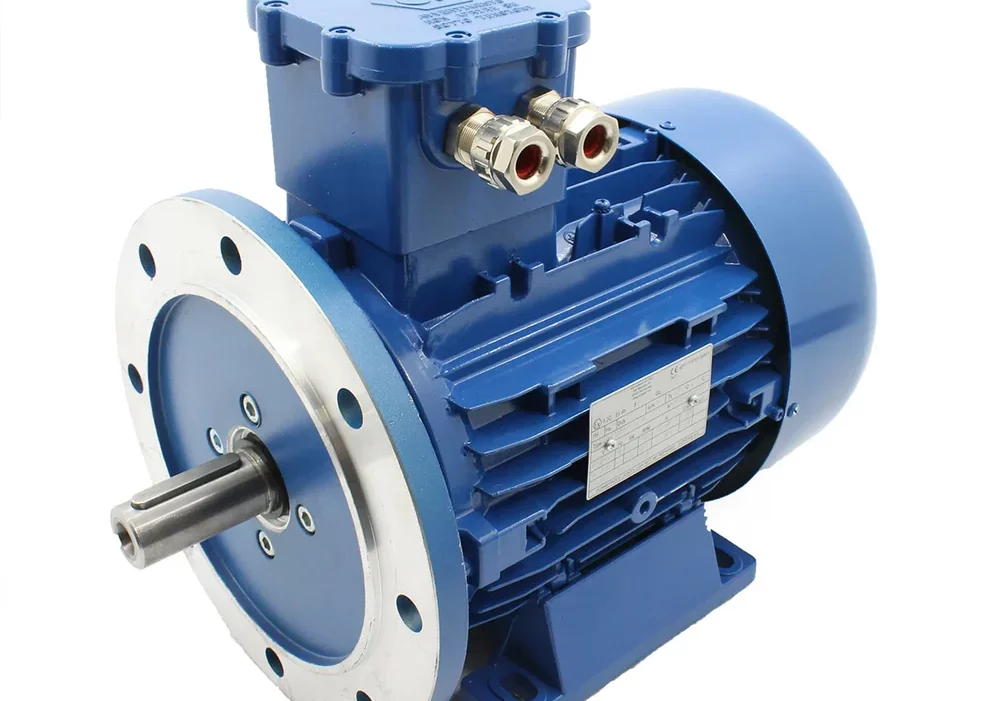 ATEX motor