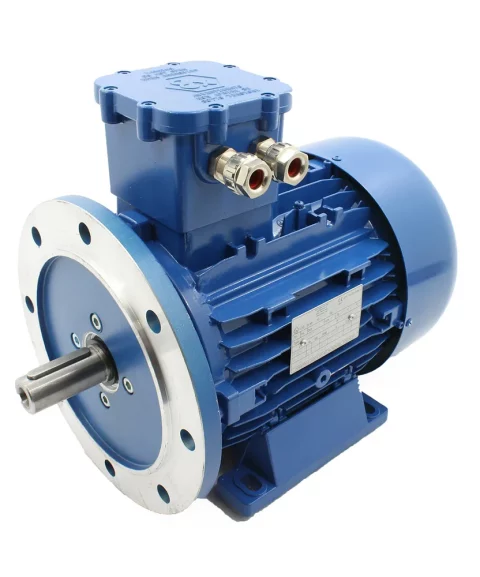 ATEX motor