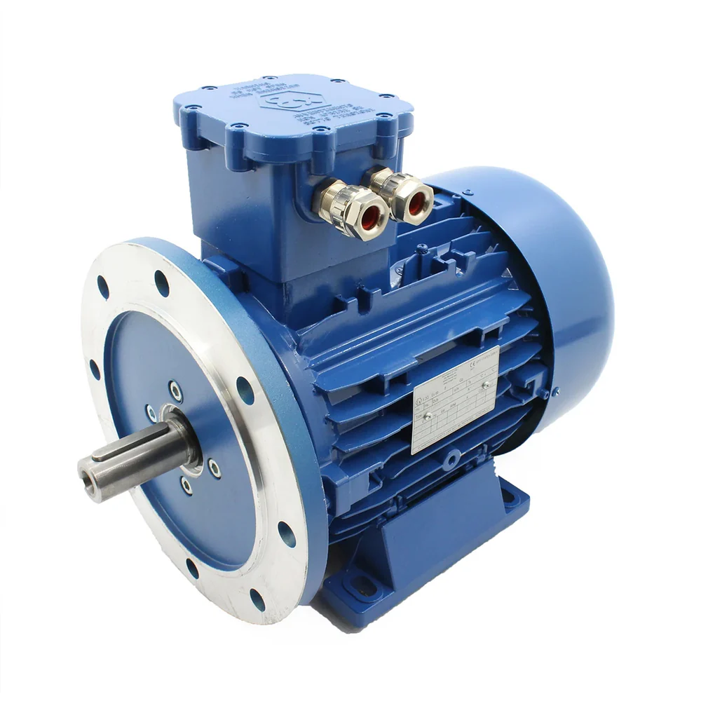 ATEX motor